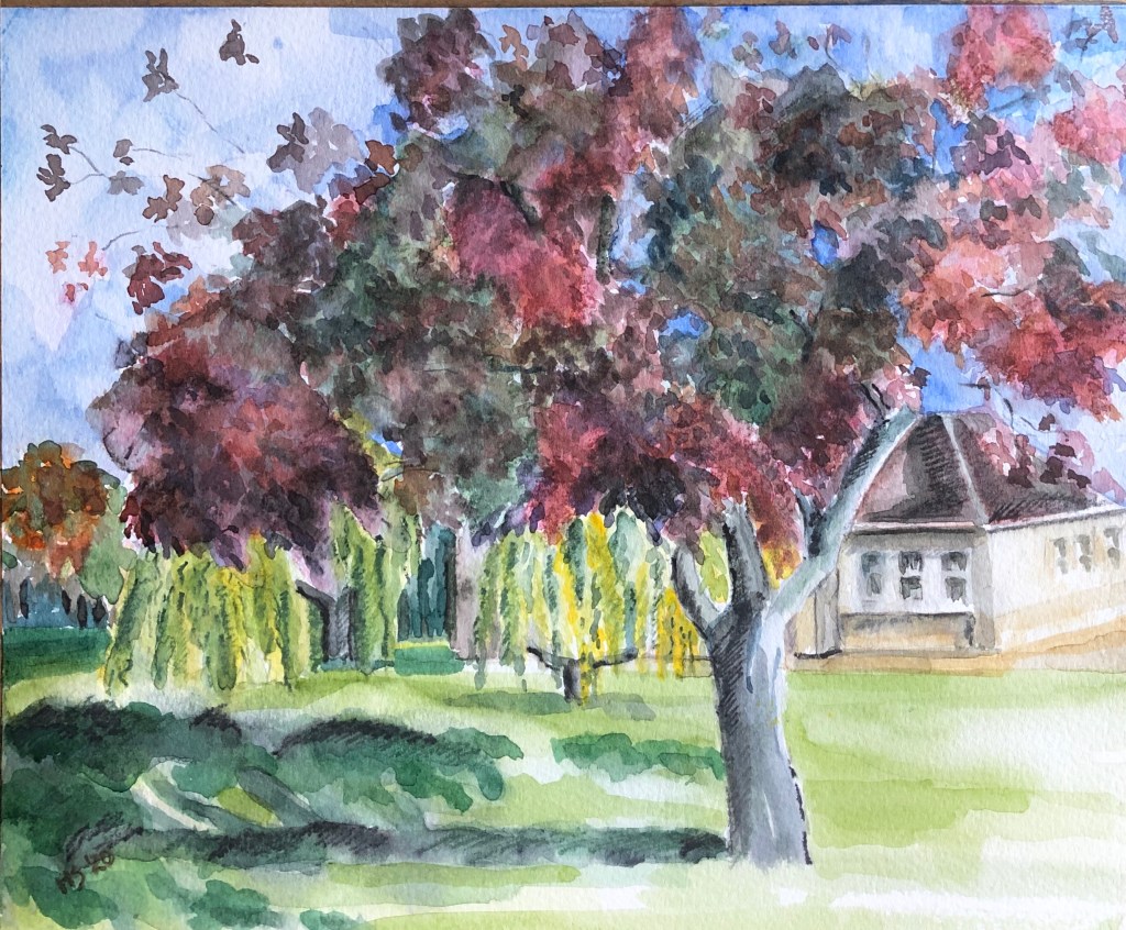 Work in Progress January&nbsp;2020