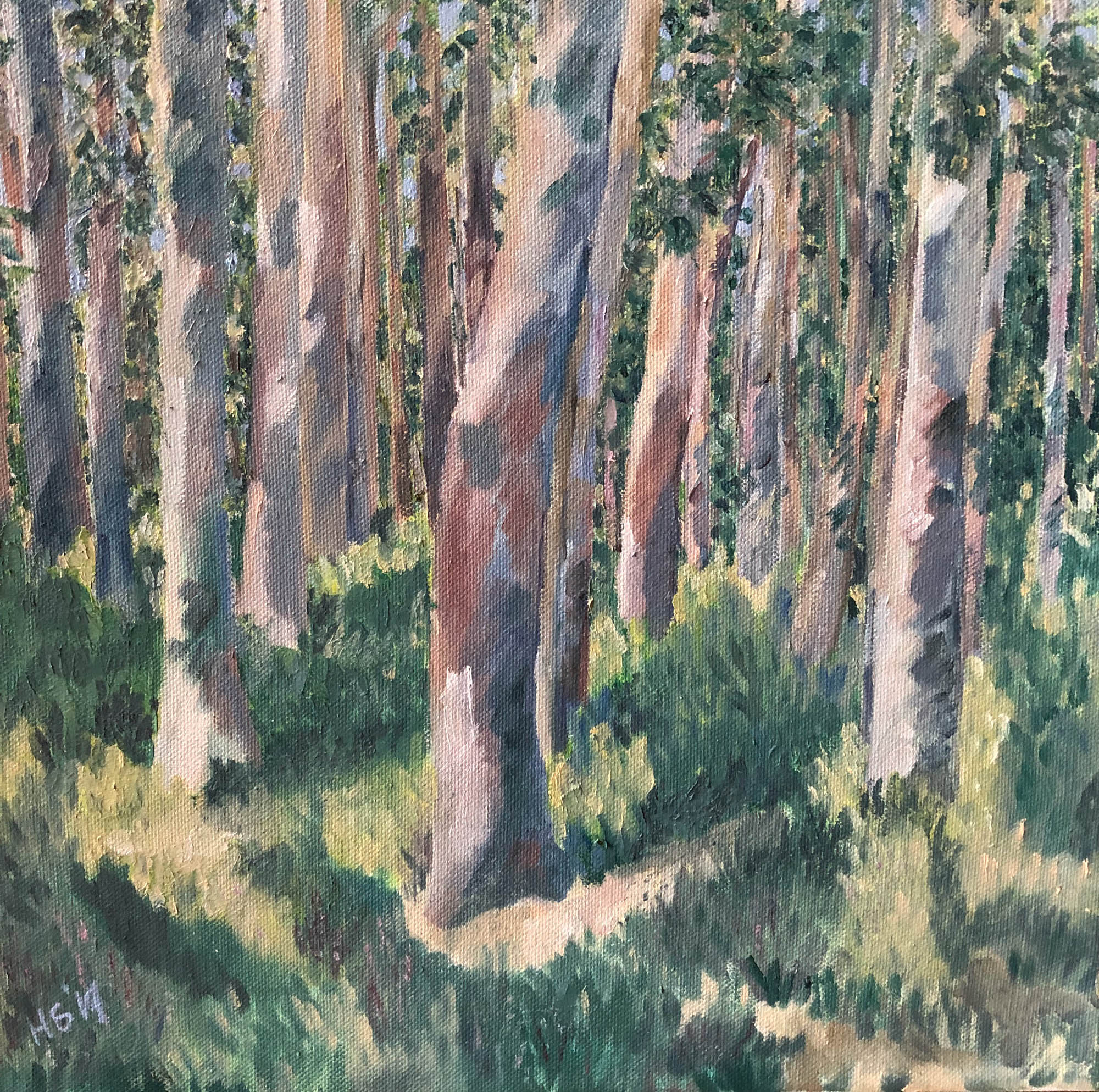 Trees, trees, trees