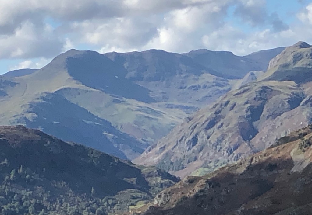 Work in progress: January 2021