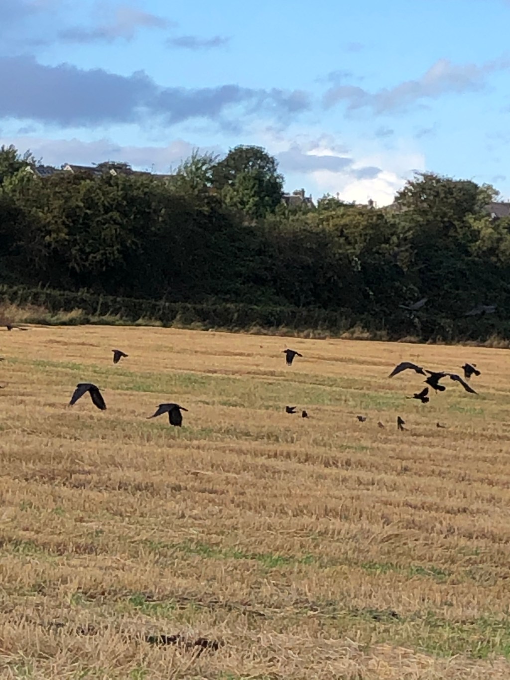 Just off the&nbsp;easel