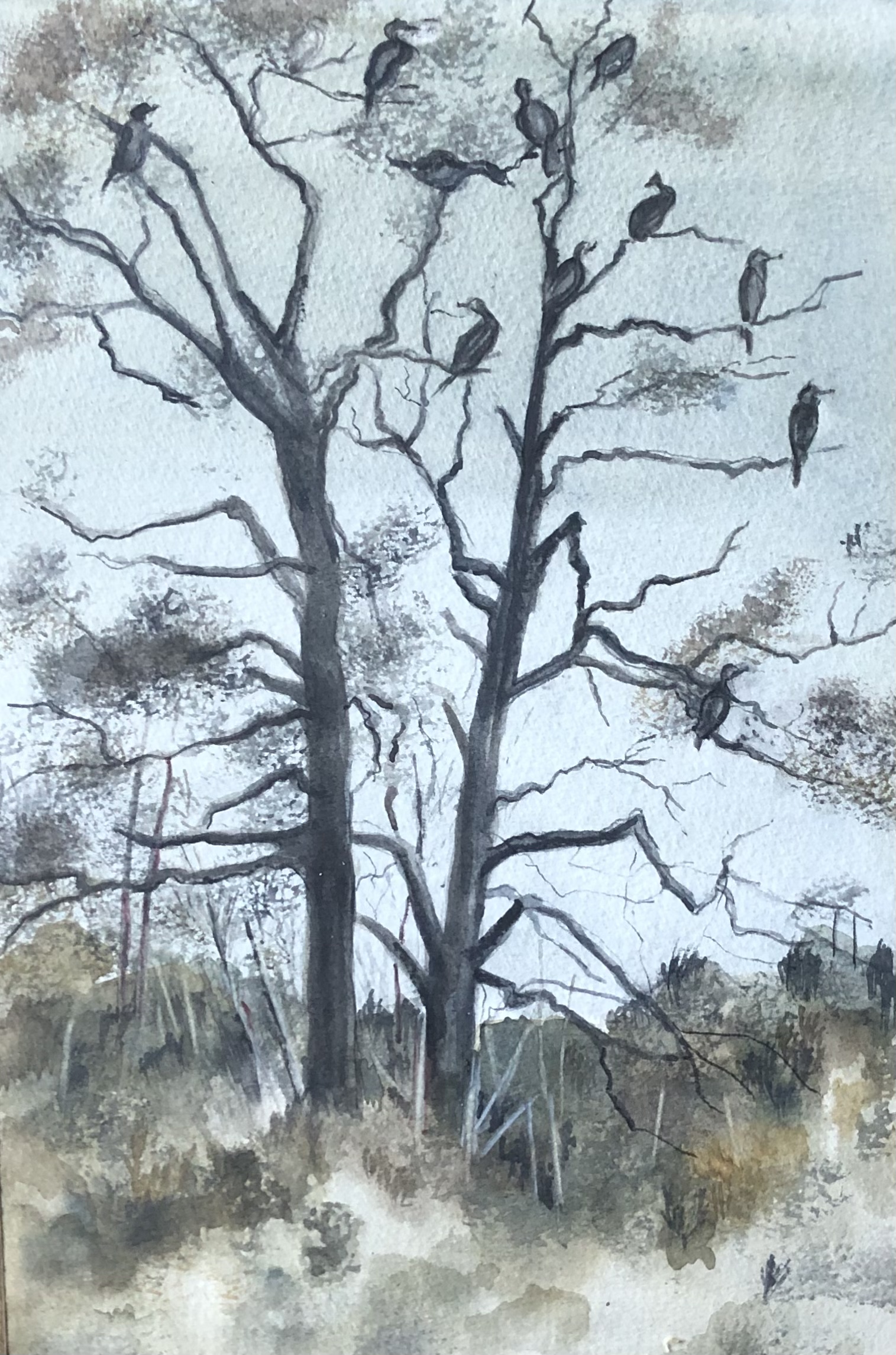 The Cormorant Tree