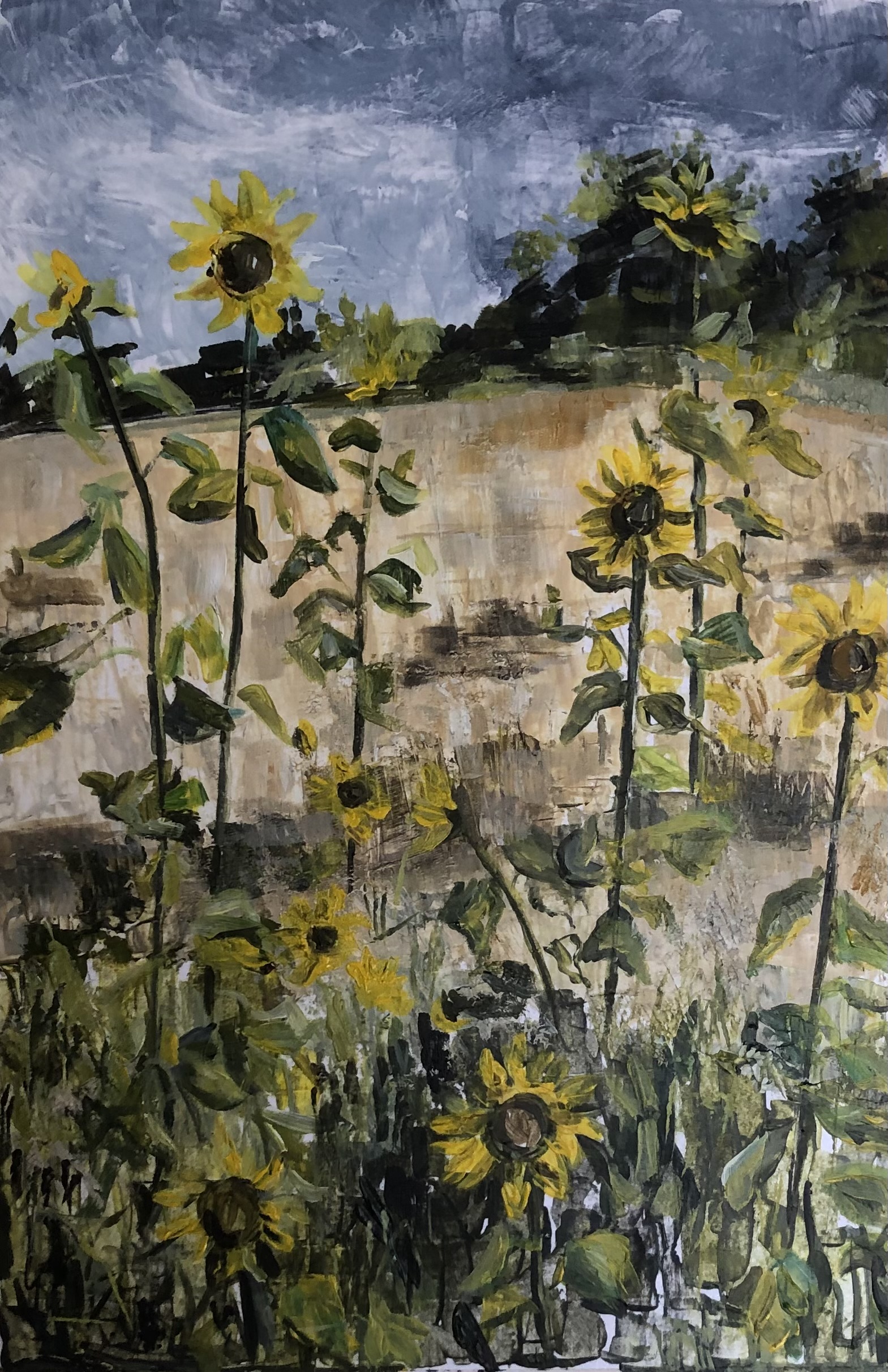 Summer sunflowers